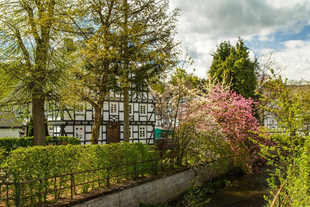 Feldmann-schuette Schmallenberg